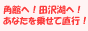 �G�A�|�[�g���C�i�[