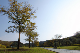 花公園・エントランス広場
