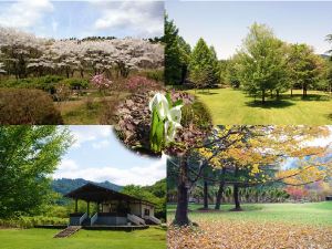 秋田市植物園