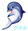 �N����